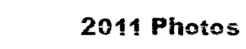 Gallery/2011-photos.jpg