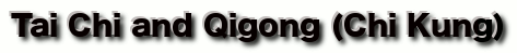 Gallery/tai-chi-gong.gif